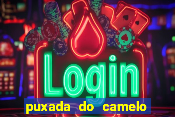 puxada do camelo jogo do bicho